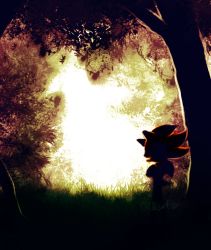 Rule 34 | 1boy, animal ears, artist name, backlighting, contrast, dark, day, furry, furry male, grass, heart, male focus, outdoors, shadow the hedgehog, signature, silhouette, solo, sonic (series), spacecolonie, standing, tail, tree