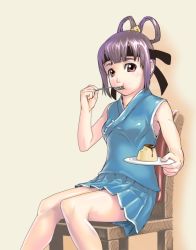 Rule 34 | eating, food, gensou suikoden, gensou suikoden v, hair rings, hi-ho-, miakis (suikoden), pudding, purple eyes, purple hair, sitting, solo, utensil in mouth