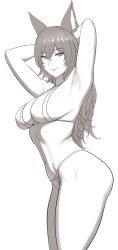 Rule 34 | 1girl, absurdres, animal ears, armpits, arms behind head, ass, bikini, breasts, brown theme, closed mouth, granblue fantasy, hair between eyes, highres, ilsa (granblue fantasy), large breasts, long hair, looking at viewer, lvl (sentrythe2310), monochrome, navel, presenting armpit, sideboob, simple background, smile, solo, standing, swimsuit, white background