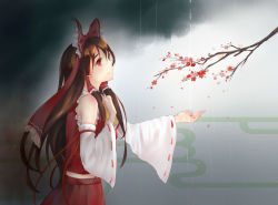Rule 34 | 1girl, bow, branch, brown hair, cover image, detached sleeves, fuyumori, hair bow, hair tubes, hakurei reimu, highres, long hair, looking up, outstretched hand, petals, rain, red eyes, red ribbon, ribbon, sidelocks, solo, touhou, very long hair, water, wide sleeves