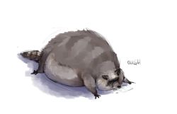 Rule 34 | animal, animal focus, fat, full body, lying, no humans, on stomach, original, purelygross, raccoon, simple background, solo, white background
