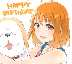 Rule 34 | 1girl, :d, ahoge, animal collar, bare shoulders, blush, collar, dog, english text, hair between eyes, happy birthday, highres, hug, looking at viewer, love live!, love live! sunshine!!, musshu (omu001), open mouth, orange hair, portrait, red eyes, shiitake (love live! sunshine!!), short hair, simple background, smile, solo, takami chika, white background