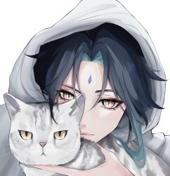 Rule 34 | 1boy, animal, cat, colored inner hair, commentary, diamond-shaped pupils, diamond (shape), english commentary, eyeshadow, facial mark, forehead mark, genshin impact, gradient hair, green hair, grey cat, hair between eyes, highres, holding, holding animal, holding cat, hood, hood up, hoodie, looking at viewer, makeup, medium hair, multicolored hair, parted hair, photo-referenced, portrait, red eyeshadow, sidelocks, signature, simple background, symbol-shaped pupils, twitter username, white background, white hoodie, xiao (genshin impact), yellow eyes, yuun ko