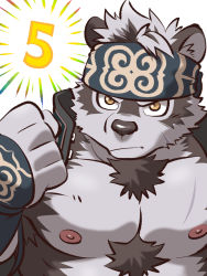 Rule 34 | 1boy, ainu clothes, animal ears, bara, bare pectorals, chest hair, chibi, clenched hand, frown, furry, furry male, grey fur, grey hair, headband, highres, horkeu kamui, jacket, jacket on shoulders, large pectorals, male focus, multicolored hair, muscular, muscular male, nipples, no shirt, numbered, pectorals, shirako (kirupi), short hair, solo, tokyo houkago summoners, two-tone fur, two-tone hair, upper body, white fur, wolf boy, wolf ears, yellow eyes