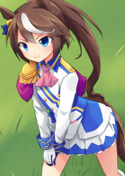 Rule 34 | 1girl, animal ears, ascot, asymmetrical gloves, black gloves, blue eyes, blue jacket, blue skirt, brown hair, buttons, closed mouth, double-breasted, epaulettes, gloves, high ponytail, highres, horse ears, horse girl, horse tail, jacket, kakizaki (chou neji), long hair, long sleeves, miniskirt, mismatched gloves, multicolored clothes, multicolored hair, multicolored jacket, pink ascot, pleated skirt, single epaulette, skirt, smile, solo, streaked hair, tail, tokai teio (umamusume), two-tone hair, two-tone jacket, two-tone skirt, umamusume, white gloves, white hair, white jacket, white skirt
