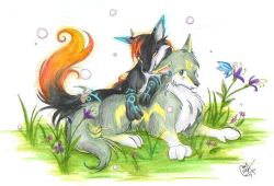 Rule 34 | link, midna, nintendo, tagme, the legend of zelda, the legend of zelda: twilight princess, wolf