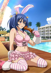 Rule 34 | 00s, 1girl, animal ears, bashoku youjou, blue hair, breasts, cleavage, female focus, food, gloves, hair ornament, ikkitousen, lowres, midriff, navel, pool, short twintails, skirt, smile, solo, squid, striped legwear, twintails