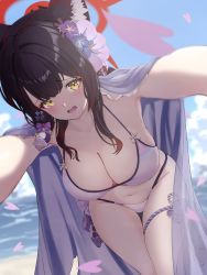 Rule 34 | 1girl, animal ear fluff, animal ears, bananafish1111, bikini, black hair, blue archive, blurry, blurry background, blush, breasts, cape, cherry blossoms, cleavage, eyeshadow, flower, fox ears, groin, hair flower, hair ornament, halo, halterneck, highres, large breasts, leaning forward, looking at viewer, makeup, navel, ocean, open mouth, outstretched arms, petals, raised eyebrows, reaching, reaching towards viewer, solo, standing, string bikini, swimsuit, wakamo (blue archive), wakamo (swimsuit) (blue archive), yellow eyes