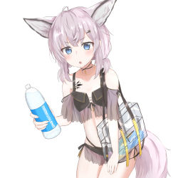 Rule 34 | 1girl, :o, animal ear fluff, animal ears, arknights, bag, bare shoulders, bikini, black bikini, blue eyes, bottle, cowboy shot, fox ears, fox tail, hair ornament, hairclip, highres, holding, holding bottle, looking at viewer, maiq06, material growth, navel, off-shoulder bikini, off shoulder, official alternate costume, oripathy lesion (arknights), see-through, short hair, shoulder bag, solo, stomach, sussurro (arknights), sussurro (summer flower) (arknights), swimsuit, tail