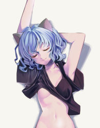 Rule 34 | 1girl, animal ears, arm behind head, arms up, bare arms, black shirt, blue hair, breasts, cat ears, closed eyes, closed mouth, clothes lift, collarbone, from above, groin, hair between eyes, hunter x hunter, long hair, lying, navel, neferpitou, on back, shirt, shirt lift, simple background, small breasts, smile, solo, underboob, upper body, white background, yagisawa teru