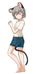 Rule 34 | 1girl, animal ears, barefoot, blue shorts, breasts, brown eyes, chagamaka, crystal, from side, full body, grey hair, highres, jewelry, looking back, mouse ears, mouse girl, mouse tail, nazrin, necklace, necklace under clothes, pendant, shirt, short hair, shorts, simple background, small breasts, solo, t-shirt, tail, tail under clothes, touhou