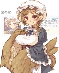 Rule 34 | 1girl, 7010, blush, breasts, brown hair, dress, harpy, hat, large breasts, monster girl, original, pointy ears, red eyes, smile, solo, tail, translation request, winged arms, wings