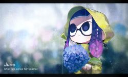 Rule 34 | black border, blurry, blurry background, border, btmr game, closed mouth, coat, day, english text, flower, holding, holding flower, hood, hood up, hooded coat, hydrangea, inkling, inkling girl, inkling player character, leaf, letterboxed, mask, nintendo, outdoors, purple hair, rain, raincoat, solo, tentacle hair