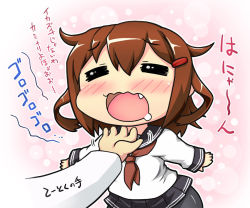 Rule 34 | 10s, 1boy, 1girl, = =, admiral (kancolle), blush, brown hair, drooling, fang, hand on another&#039;s chin, hase yu, ikazuchi (kancolle), kantai collection, neckerchief, open mouth, pantyhose, red neckerchief, school uniform, serafuku, short hair, smile, stroking another&#039;s chin, translation request
