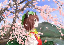 Rule 34 | 1girl, chen, cherry blossoms, day, female focus, hat, highres, mountain, nature, outdoors, plant, profile, river, sky, solo, touhou, tree, upper body, zzbye