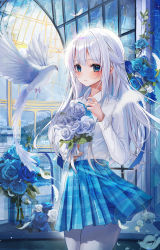 Rule 34 | 1girl, absurdres, bird, blouse, blue eyes, blue flower, blue rose, blue skirt, blush, bouquet, collared shirt, commentary request, dove, eumi 114, feathers, flower, hand up, highres, holding, holding bouquet, indoors, long hair, long sleeves, looking at viewer, original, pantyhose, parted lips, plaid, plaid skirt, pleated skirt, rose, shirt, skirt, solo, tagme, white bird, white feathers, white flower, white hair, white pantyhose, white rose, white shirt, window