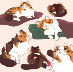 Rule 34 | :3, ^ ^, animal focus, blanket, calico, cat, closed eyes, closed mouth, closed eyes, facing away, facing viewer, from behind, from side, full body, hand up, looking away, looking up, lying, miyazaki shiori, motion lines, multiple views, no humans, on side, on stomach, original, pink background, profile, simple background, sitting, sleeping