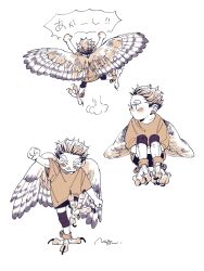 Rule 34 | 1boy, akaashi keiji, animal feet, anklet, arm up, artist name, bird legs, bird wings, brown eyes, brown hair, brown shirt, child, facing away, feathered wings, full body, haikyuu!!, harpy boy, highres, jewelry, jumping, knees up, leg up, looking down, looking to the side, male focus, monochrome, monster boy, monsterification, multiple views, natsu (rodysanp), shirt, short hair, short sleeves, shorts, shouting, signature, simple background, sitting, spread wings, standing, talons, thick eyebrows, translation request, very short hair, white background, wings