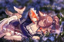 Rule 34 | 1girl, absurdres, animal, animal ears, arknights, blue bow, blue flower, blue jacket, blurry, blurry background, bow, breasts, brown eyes, brown hair, character name, cleavage, dress, fennec fox, flower, fox ears, fox girl, hair bow, highres, jacket, long hair, lying, neriash, on side, outdoors, perfumer (arknights), ponytail, slime (substance), solo, white dress, white flower