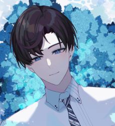 Rule 34 | 1boy, artem wing (tears of themis), blue eyes, blue necktie, brown hair, closed mouth, highres, looking at viewer, necktie, polo shirt, shirt, short hair, smile, solo, tears of themis, tercynya, white shirt