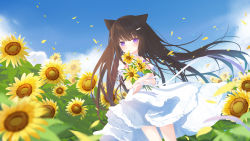 Rule 34 | 1girl, absurdres, animal ears, bare shoulders, blue flower, blue sky, brown hair, cat ears, cloud, collarbone, commentary request, day, detached sleeves, dress, flower, frilled dress, frills, fufumi, hair ornament, hairclip, highres, long hair, mouth hold, hugging object, original, outdoors, petals, pink flower, puffy short sleeves, puffy sleeves, purple eyes, purple flower, short sleeves, sky, solo, sunflower, very long hair, white dress, white sleeves, yellow flower