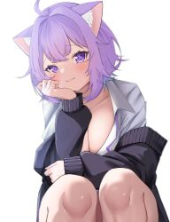 Rule 34 | 1girl, :3, ahoge, animal ear fluff, animal ears, black sweater, blush, breasts, cat ears, cat girl, cleavage, closed mouth, collarbone, collared shirt, hair intakes, hand on own face, highres, hololive, large breasts, looking at viewer, nekomata okayu, purple eyes, purple hair, raised eyebrows, shirt, short hair, simple background, smile, solo, squatting, sweater, upper body, virtual youtuber, white background, white shirt, yamazakura118