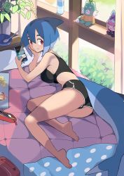 Rule 34 | 1girl, absurdres, arm support, ass, azuumori, backpack, bag, barefoot, bed, black shorts, black sports bra, blue hair, blue panties, bottle, bowl, breasts, cellphone, closed mouth, comforter, commentary, computer, day, english commentary, eraser, fins, fish tail, foliage, from side, gym shorts, hair between eyes, hand on own face, highres, holding, holding phone, indoors, laptop, large breasts, light smile, looking at viewer, mako (azuumori), medium hair, multicolored hair, original, panties, panty peek, pen, pencil case, phone, plant, polka dot, potted plant, red bag, red eyes, shark girl, shark tail, shorts, sideboob, smartphone, solo, spoon, sports bra, striped clothes, striped panties, stuffed animal, stuffed toy, tail, thick eyebrows, two-tone hair, underwear, water bottle, window