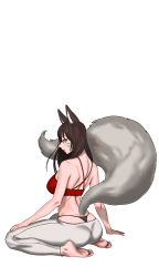 Rule 34 | ahri (league of legends), animal ears, back, brown hair, fox ears, fox tail, highres, league of legends, long hair, radiocupcake, red top, t-back, tail, thong, yellow eyes