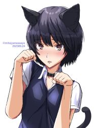 Rule 34 | 1girl, :&lt;, amagami, animal ears, artist name, black collar, black hair, black sweater vest, blush, breasts, brown eyes, cat day, cat ears, cat tail, close-up, collar, collared shirt, commentary, dated, dress shirt, hair between eyes, hands up, highres, kemonomimi mode, light blush, looking at viewer, medium breasts, mitojyaneeeeyo, nanasaki ai, nose blush, parted lips, paw pose, portrait, raised eyebrows, shirt, short hair, simple background, solo, sweater vest, tail, twitter username, upper body, white background, white shirt