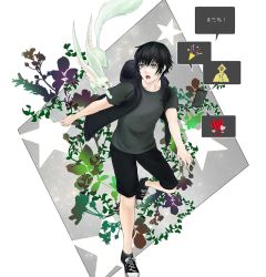 Rule 34 | 10s, 1boy, black eyes, black hair, black shirt, carbuncle (final fantasy), cellphone, child, converse, final fantasy, final fantasy xv, hood, hoodie, male focus, noctis lucis caelum, phone, shirt, shoes, short sleeves, shorts, smartphone, sneakers, solo, soto (20151217337), t-shirt, aged down
