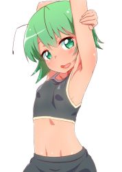 Rule 34 | 1girl, antennae, arm up, armpits, blush, breasts, green eyes, green hair, highres, matching hair/eyes, md5 mismatch, midriff, navel, open mouth, resized, short hair, simple background, small breasts, solo, sports bra, stretching, touhou, upper body, white background, wriggle nightbug, yocchi (tenyunkel)