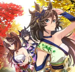 Rule 34 | 3girls, ahoge, alternate costume, alternate hairstyle, animal ears, arm up, black hair, bracer, breasts, brown hair, chest sarashi, choker, closed mouth, fist in hand, floral print, green eyes, green kimono, hadanugi dousa, hand in own hair, horse ears, japanese clothes, kimono, long hair, medium breasts, misu kasumi, mr. c.b. (umamusume), multicolored hair, multiple girls, narita brian (heavenly laughter kaburaya) (umamusume), narita brian (umamusume), obi, open kimono, ponytail, purple hair, purple kimono, reaching, reaching towards viewer, red kimono, sarashi, sash, single bare shoulder, small breasts, smile, streaked hair, symboli rudolf (archer of the white moon) (umamusume), symboli rudolf (umamusume), tree, umamusume, upper body, yellow eyes