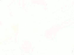 Rule 34 | 1girl, animated, animated gif, bra, breasts, brown eyes, brown hair, collarbone, datsuijan, dutch angle, elf all-stars datsuijan 3, closed eyes, female focus, hair ribbon, hip focus, indoors, kanose tomoe, lingerie, long hair, looking at viewer, lowres, navel, nipples, panties, plant, ponytail, qvga, ribbon, shin mikagura shoujo tanteidan, smile, solo, standing, table, topless, underwear, undressing, white bra, white panties
