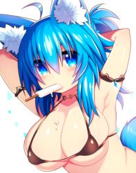 Rule 34 | 1girl, animal ear fluff, animal ears, arms up, blue eyes, blue hair, blush, breasts, cleavage, collarbone, food, large breasts, looking at viewer, mofuaki, original, popsicle, short hair, solo, tail, upper body