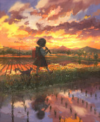Rule 34 | 1girl, backpack, bad id, bad pixiv id, bag, cat, child, cloud, flute, holding flute, holding instrument, instrument, landscape, original, pon (cielo), power lines, randoseru, recorder, reflection, rice paddy, scenery, school uniform, short hair, solo, sunset, walking, water