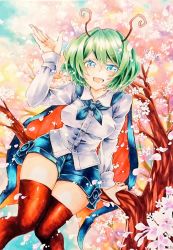 Rule 34 | 1girl, alternate breast size, antennae, black cape, black shorts, black thighhighs, blush, breasts, buttons, cape, chaka3464, cherry blossoms, collared shirt, commentary request, eyes visible through hair, flower, from below, green eyes, green hair, hair between eyes, long sleeves, looking at viewer, making-of available, medium breasts, pink flower, red cape, shirt, short hair, short shorts, shorts, sitting, sitting on branch, solo, standing, thighhighs, touhou, traditional media, tree, two-tone cape, waving, white shirt, wriggle nightbug, zettai ryouiki