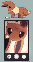 Rule 34 | animal focus, blue background, bright pupils, brown fur, cellphone, creatures (company), eevee, from side, game freak, gen 1 pokemon, highres, inukami (wanco ht), looking down, nintendo, no humans, pawpads, phone, pokemon, pokemon (creature), profile, selfie, signature, simple background, smartphone, white pupils
