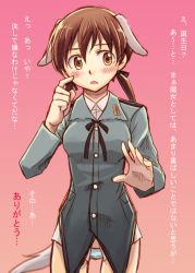 Rule 34 | 00s, 1girl, animal ears, bad id, bad pixiv id, birthday, blush, brown eyes, brown hair, dog ears, dog tail, female focus, gertrud barkhorn, gradient background, military, military uniform, niina ryou, panties, solo, strike witches, tail, translated, twintails, underwear, uniform, world witches series