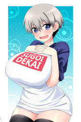 Rule 34 | 1girl, :d, black thighhighs, blue eyes, blush, breast suppress, breasts, fang, grey hair, hair between eyes, hands on own chest, huge breasts, interlocked fingers, lindaroze, looking at viewer, open mouth, own hands together, raglan sleeves, romaji text, shirt, short hair, simple background, skin fang, smile, solo, sugoi dekai, t-shirt, thighhighs, uzaki-chan wa asobitai!, uzaki hana