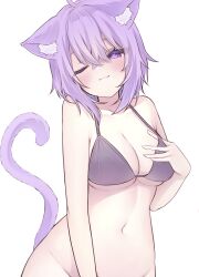 Rule 34 | 1girl, :3, ahoge, animal ear fluff, animal ears, armpit crease, blush, bra, breasts, cat ears, cat girl, cleavage, closed mouth, commentary request, crossed bangs, dot nose, ears down, groin, hair between eyes, hand up, head tilt, highres, holding, holding clothes, holding strap, holding underwear, hololive, large breasts, looking at viewer, medium hair, navel, nekomata okayu, no panties, nyakano o, one eye closed, out-of-frame censoring, pink lips, purple bra, purple ears, purple eyes, purple hair, purple tail, single bare arm, single bare shoulder, solo, standing, underwear, virtual youtuber, white background, wide hips