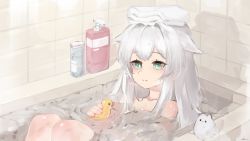 Rule 34 | 1girl, animal ears, arknights, bathing, bathroom, bathtub, cat ears, commentary, highres, korean commentary, long hair, partially submerged, ribiadan, rosmontis (arknights), rubber duck, shadow, signature, soap bottle, solo, tiles, towel, towel on head, wet, white hair