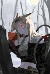 Rule 34 | 1girl, animal ears, arknights, bare tree, black choker, black jacket, blonde hair, breasts, choker, crop top, extra ears, glowing, glowing eye, hairband, horn (arknights), jacket, jewelry, looking at viewer, midriff, necklace, open clothes, open jacket, outdoors, red eyes, shield, shiro (siro kuten), small breasts, solo, tree, upper body, wolf ears, wolf girl