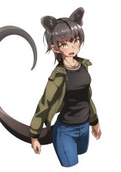 Rule 34 | 1girl, absurdres, alternate costume, arms at sides, black shirt, blouse, blush, brown hair, casual, commentary request, contemporary, cowboy shot, denim, fossa (kemono friends), fossa ears, fossa tail, green jacket, highres, jacket, jeans, kemono friends, long sleeves, looking at viewer, open clothes, open jacket, pants, shirt, short hair, solo, tanabe (fueisei), white background, yellow eyes
