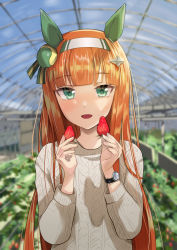 Rule 34 | 1girl, absurdres, animal ears, blunt bangs, blurry, blurry background, blush stickers, food, fruit, greenhouse, hairband, hands up, highres, holding, holding food, horei tsuna, horse ears, indoors, long hair, long sleeves, looking at viewer, open mouth, orange hair, plant, silence suzuka (umamusume), smile, solo, strawberry, sweater, umamusume, upper body, watch, wristwatch