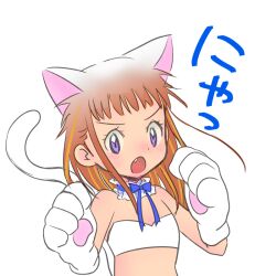 Rule 34 | 1girl, animal costume, cat costume, digimon, fang, female focus, makino ruki, simple background, solo, tail, white background
