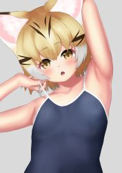 Rule 34 | 1girl, :o, absurdres, animal ear fluff, animal ears, arm up, armpits, arms behind head, bare arms, blonde hair, blue one-piece swimsuit, cat ears, collarbone, competition school swimsuit, deku suke, fang, grey background, highres, kemono friends, looking at viewer, multicolored hair, one-piece swimsuit, sand cat (kemono friends), school swimsuit, short hair, simple background, solo, swimsuit, upper body, white hair, yellow eyes