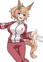 Rule 34 | 1girl, animal ears, blue eyes, breasts, brown hair, commentary request, feet out of frame, hair ornament, harukazetabiji, highres, horse ears, horse girl, horse tail, jacket, large breasts, long sleeves, looking at viewer, medium hair, open mouth, pants, ponytail, red jacket, red pants, simple background, smile, solo, star (symbol), star hair ornament, taiki shuttle (umamusume), tail, teeth, tracen training uniform, track jacket, track pants, umamusume, upper teeth only, white background, zipper