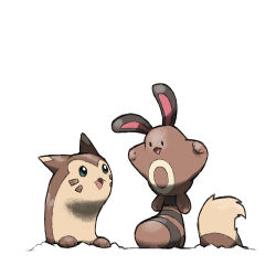 Rule 34 | aqua eyes, blacknirrow, bright pupils, commentary, creatures (company), english commentary, evolutionary line, furret, game freak, gen 2 pokemon, looking at another, nintendo, no humans, open mouth, pokemon, pokemon (creature), sentret, simple background, striped tail, tail, white background, white pupils
