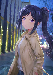 Rule 34 | 1girl, artist name, bare tree, beige coat, blue hair, blurry, bokeh, building, coat, dated, depth of field, hand in pocket, highres, long hair, long sleeves, looking at viewer, love live!, love live! school idol festival, love live! sunshine!!, matsuura kanan, night, outdoors, ponytail, purple eyes, shamakho, sidelocks, smile, solo, sweater, tree, upper body, white sweater