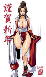 Rule 34 | 1girl, breasts, brown eyes, brown hair, cleavage, curvy, fatal fury, large breasts, leg lift, legs, loincloth, long hair, nek, pelvic curtain, ponytail, revealing clothes, shiranui mai, smile, snk, solo, standing, standing on one leg, the king of fighters